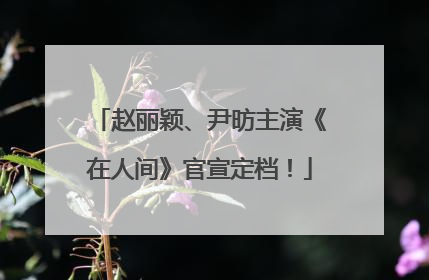 赵丽颖、尹昉主演《在人间》官宣定档！