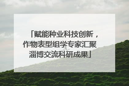 赋能种业科技创新，作物表型组学专家汇聚淄博交流科研成果