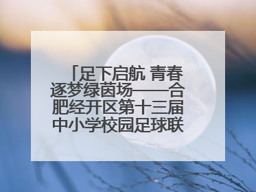 足下启航 青春逐梦绿茵场——合肥经开区第十三届中小学校园足球联赛圆满收官