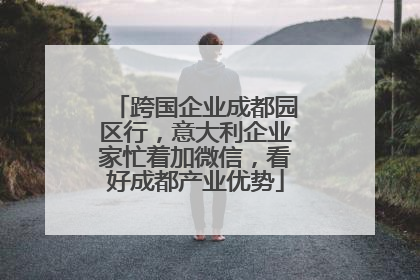 跨国企业成都园区行，意大利企业家忙着加微信，看好成都产业优势