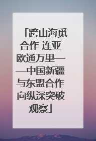 跨山海觅合作 连亚欧通万里——中国新疆与东盟合作向纵深突破观察