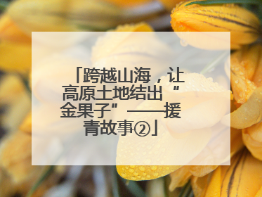 跨越山海，让高原土地结出“金果子”——援青故事②
