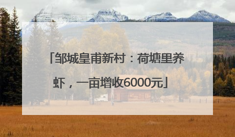邹城皇甫新村：荷塘里养虾，一亩增收6000元