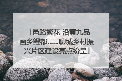 邑路繁花 沿黄九品 画乡鲤都……聊城乡村振兴片区建设亮点纷呈