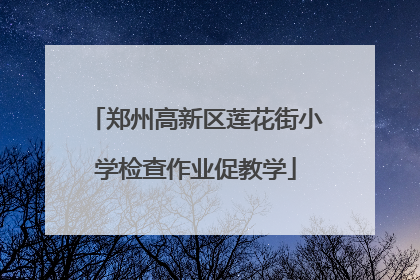 郑州高新区莲花街小学检查作业促教学