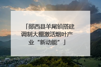 郧西县羊尾镇搭建调制大棚激活烟叶产业“新动能”
