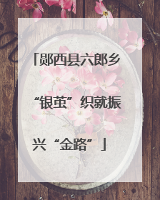 郧西县六郎乡“银茧”织就振兴“金路”