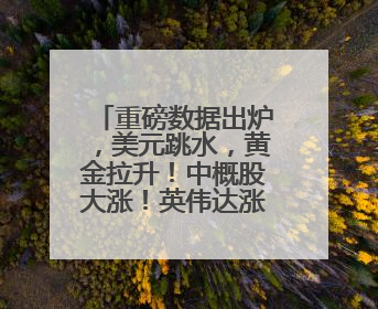 重磅数据出炉，美元跳水，黄金拉升！中概股大涨！英伟达涨超4%，市值重返全球第一！黄仁勋计划出售至多600万股股票