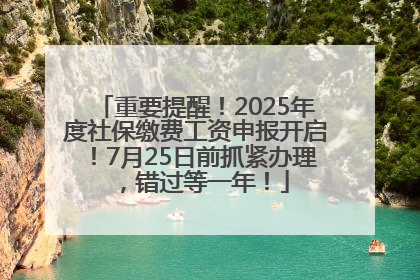 重要提醒！2025年度社保缴费工资申报开启！7月25日前抓紧办理，错过等一年！