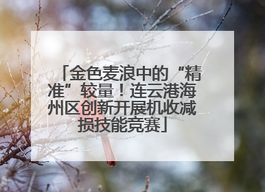金色麦浪中的“精准”较量！连云港海州区创新开展机收减损技能竞赛