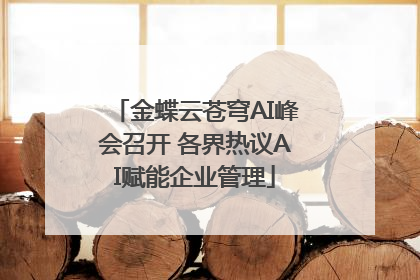 金蝶云苍穹AI峰会召开 各界热议AI赋能企业管理