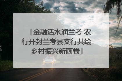 金融活水润兰考 农行开封兰考县支行共绘乡村振兴新画卷