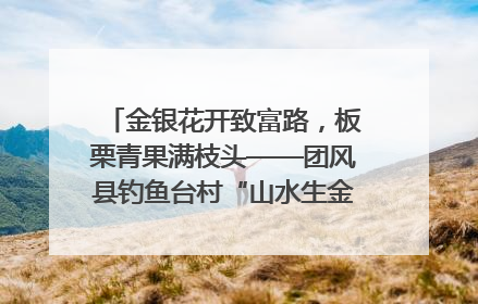 金银花开致富路，板栗青果满枝头——团风县钓鱼台村“山水生金”谱写共富新篇章