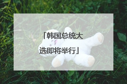 韩国总统大选即将举行