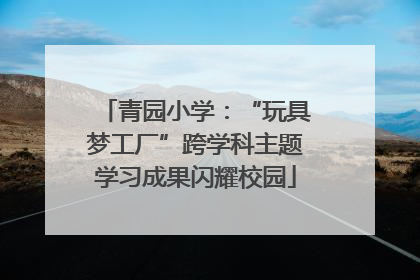 青园小学：“玩具梦工厂”跨学科主题学习成果闪耀校园