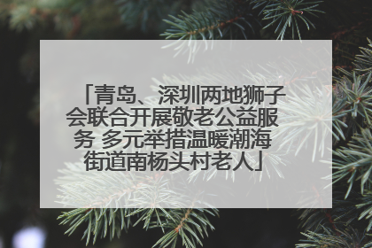 青岛、深圳两地狮子会联合开展敬老公益服务 多元举措温暖潮海街道南杨头村老人