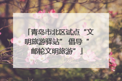 青岛市北区试点“文明旅游驿站” 倡导“邮轮文明旅游”