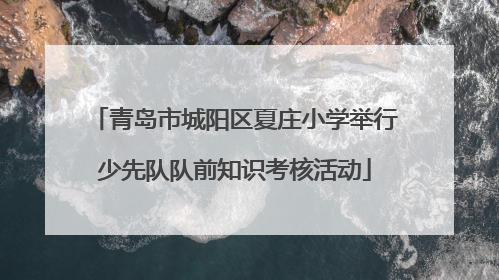 青岛市城阳区夏庄小学举行少先队队前知识考核活动