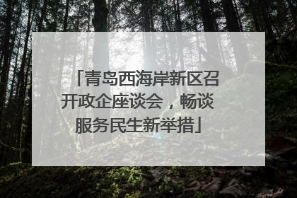 青岛西海岸新区召开政企座谈会，畅谈服务民生新举措