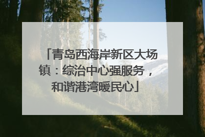 青岛西海岸新区大场镇：综治中心强服务，和谐港湾暖民心