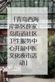 青岛西海岸新区薛家岛街道社区卫生服务中心开展中医文化夜市活动