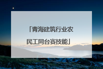 青海建筑行业农民工同台赛技能