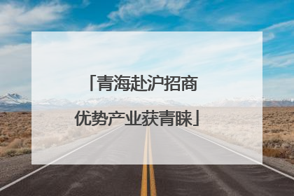 青海赴沪招商 优势产业获青睐