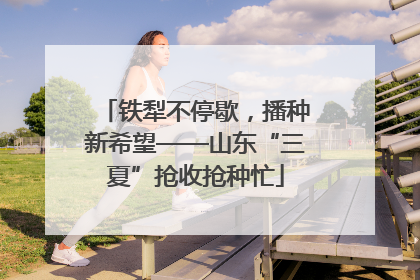 铁犁不停歇，播种新希望——山东“三夏”抢收抢种忙