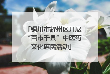 铜川市耀州区开展“百市千县”中医药文化惠民活动