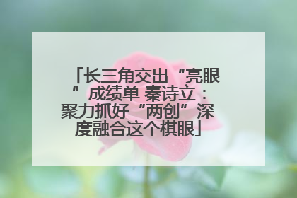 长三角交出“亮眼”成绩单 秦诗立：聚力抓好“两创”深度融合这个棋眼