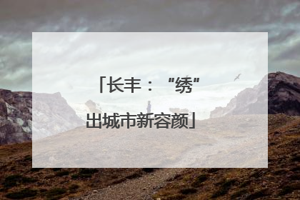 长丰：“绣”出城市新容颜