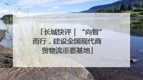 长城快评｜“向智”而行，建设全国现代商贸物流重要基地