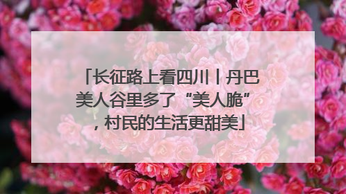 长征路上看四川丨丹巴美人谷里多了“美人脆”，村民的生活更甜美