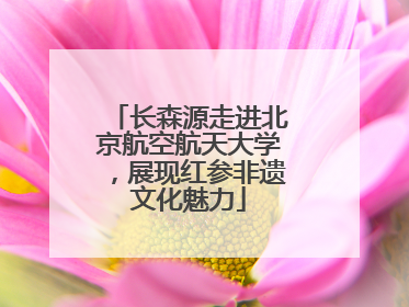 长森源走进北京航空航天大学，展现红参非遗文化魅力