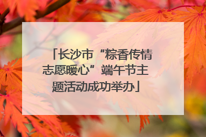 长沙市“粽香传情志愿暖心”端午节主题活动成功举办