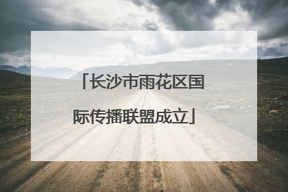 长沙市雨花区国际传播联盟成立