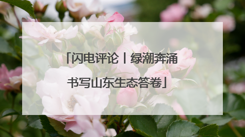 闪电评论丨绿潮奔涌 书写山东生态答卷