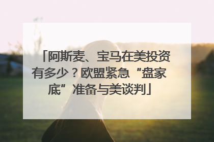 阿斯麦、宝马在美投资有多少？欧盟紧急“盘家底”准备与美谈判