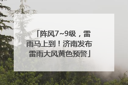 阵风7~9级，雷雨马上到！济南发布雷雨大风黄色预警