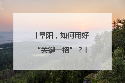 阜阳，如何用好“关键一招”？
