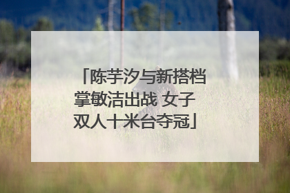 陈芋汐与新搭档掌敏洁出战 女子双人十米台夺冠