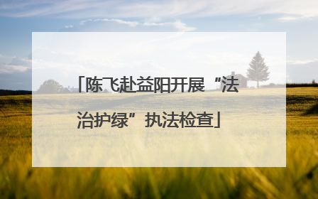 陈飞赴益阳开展“法治护绿”执法检查