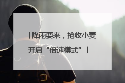 降雨要来，抢收小麦开启“倍速模式”