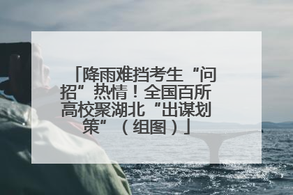降雨难挡考生“问招”热情！全国百所高校聚湖北“出谋划策”（组图）
