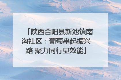 陕西合阳县新池镇南沟社区：葡萄串起振兴路 聚力同行显效能
