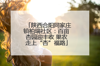 陕西合阳同家庄镇柏瑞社区：百亩杏园迎丰收 果农走上“杏”福路