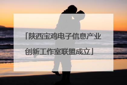 陕西宝鸡电子信息产业创新工作室联盟成立