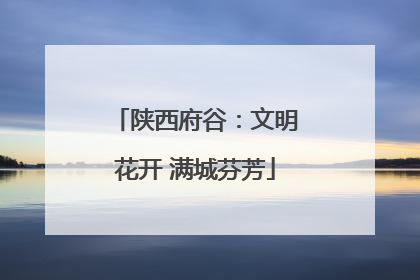 陕西府谷：文明花开 满城芬芳