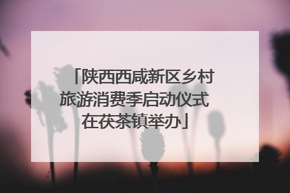 陕西西咸新区乡村旅游消费季启动仪式在茯茶镇举办