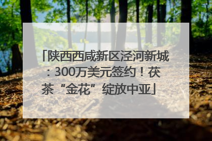 陕西西咸新区泾河新城：300万美元签约！茯茶“金花”绽放中亚
